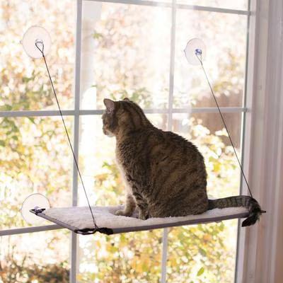 K&H Window Lounger cat perch